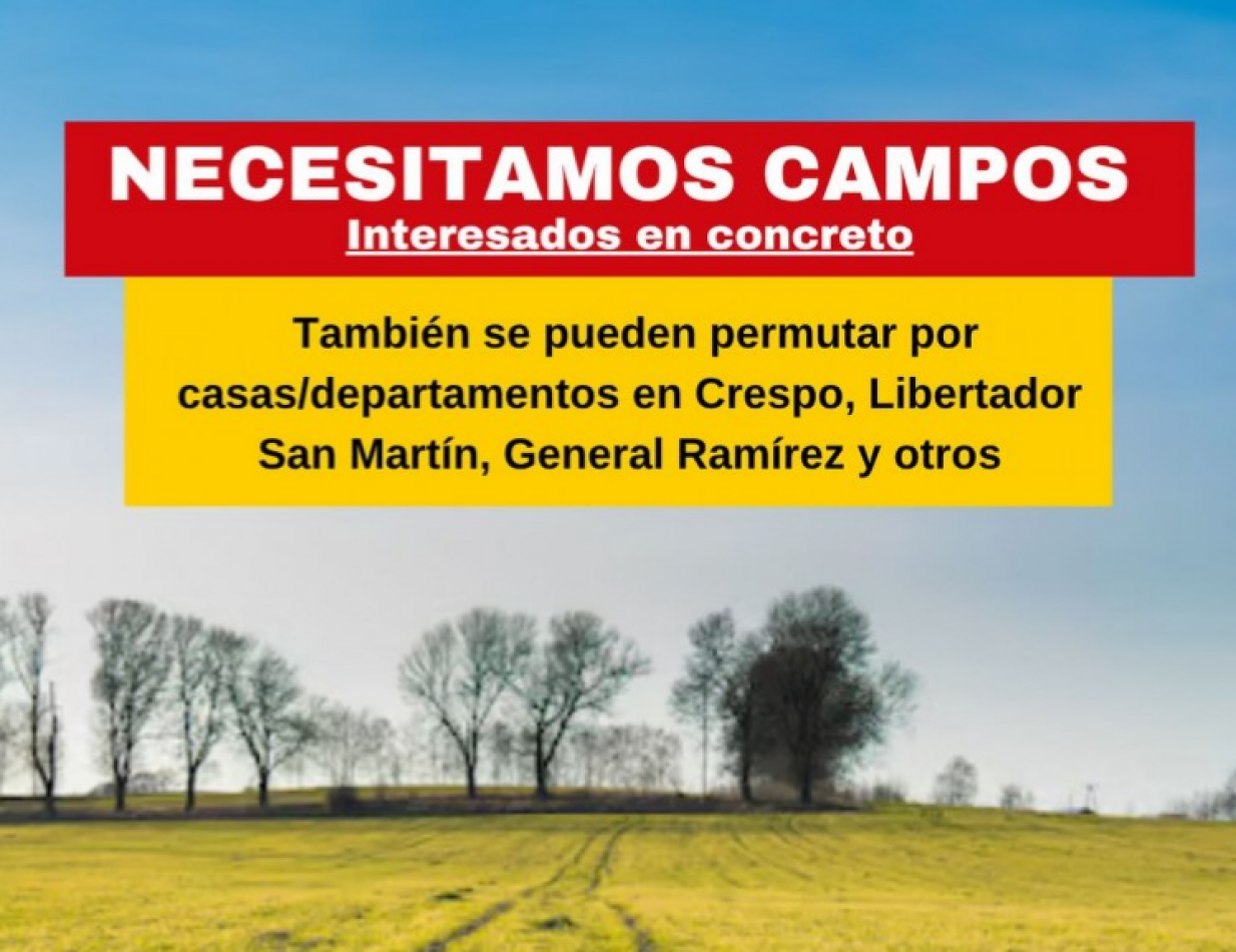 buscamos campos