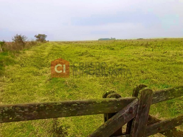 2 has de Campo en General Ramírez