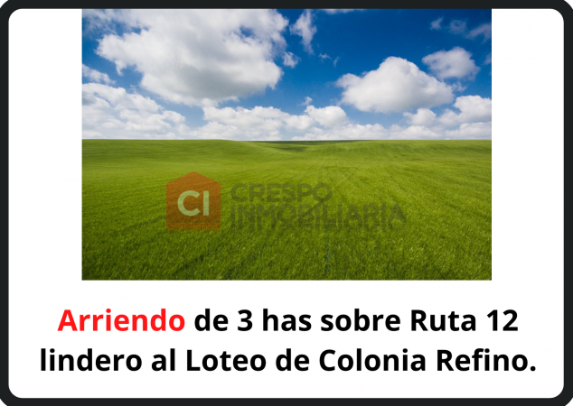 Arriendo en loteo Colonia Reffino