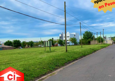 Terrenos en Hernández
