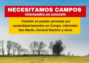 buscamos campos