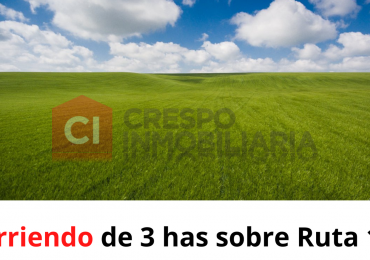 Arriendo en loteo Colonia Reffino
